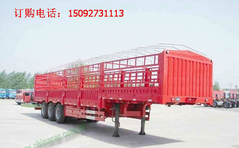 800_600.jpg