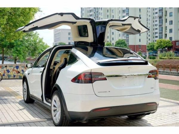 特斯拉 model x 75d图片