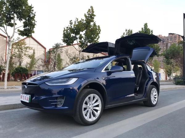 特斯拉 model x 100d图片