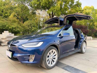 2018年3月 特斯拉 model x model x 75d图片