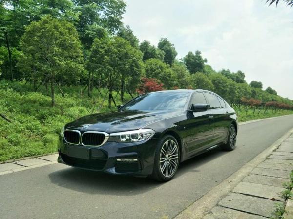 宝马 宝马5系 530li 2.0t 领先型 m运动套装图片