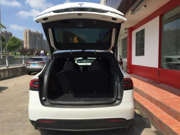 特斯拉 model x 100d图片