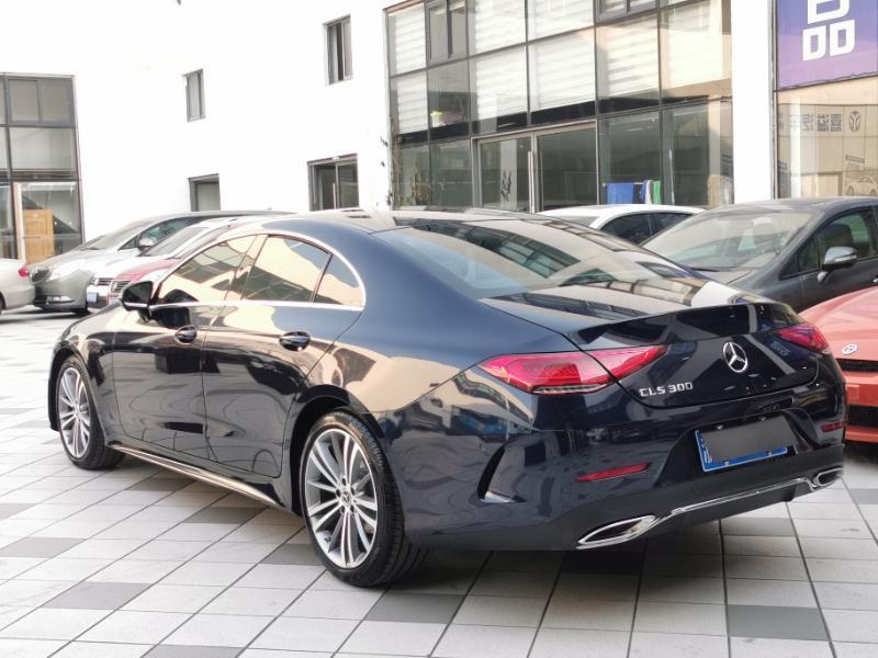 奔驰 奔驰cls级 2020款 cls 300 动感型图片