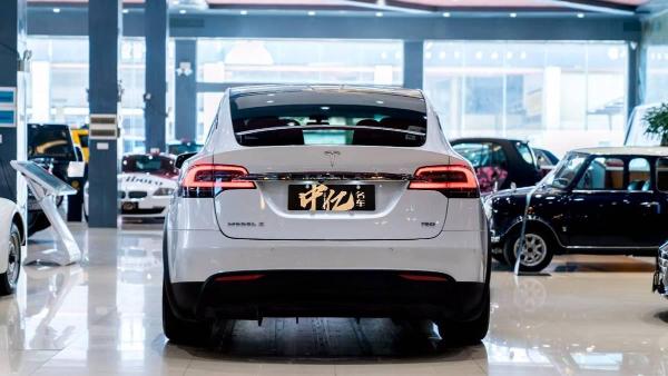 特斯拉 model x 75d图片