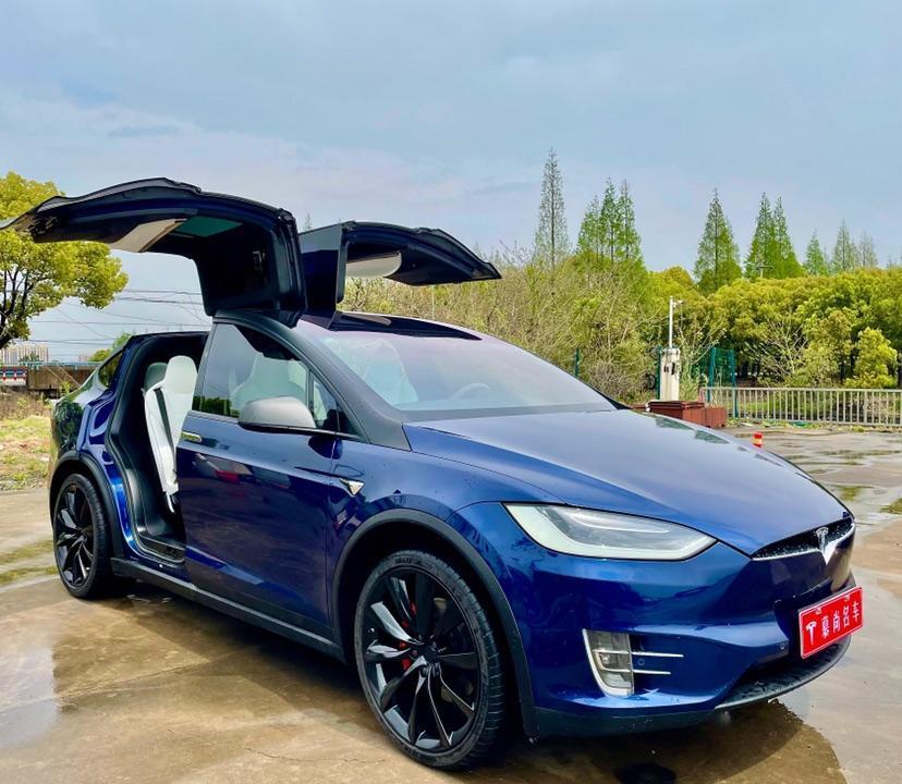 特斯拉 model x 2016款 model x p100d performance高性能版图片