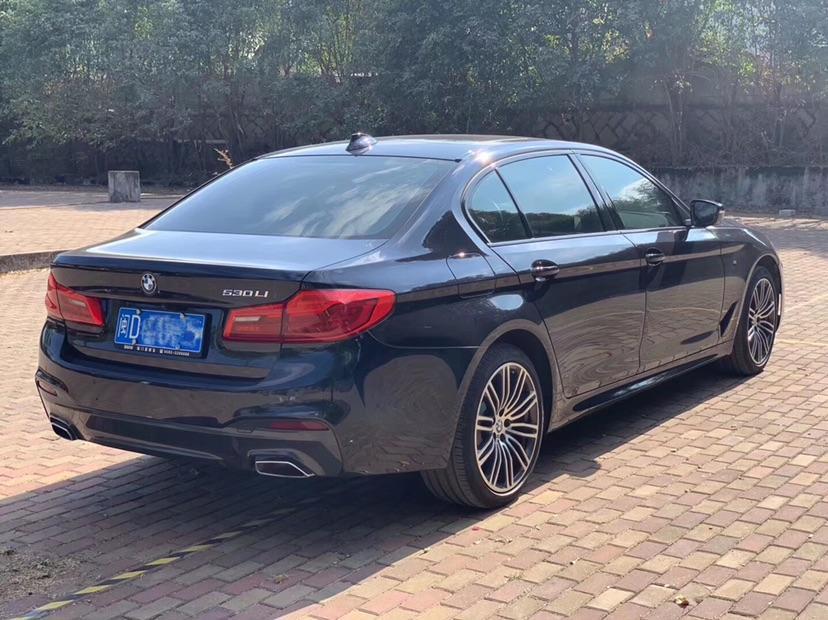 2020款宝马5系图片,2020款宝马5系 【厦门】2019年3月 宝马 宝马5系 2020款 530li 尊享型 m运动套装 手