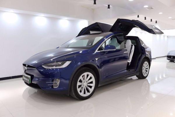 【上海】2018年6月 特斯拉 model x 2017款 100d 蓝色 自动档