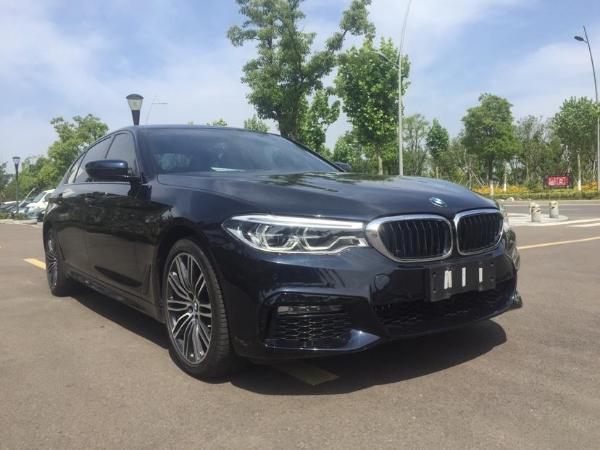 宝马 宝马5系 530li 2.0t 领先型 m运动套装图片