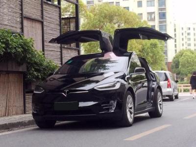 【老款特斯拉ModelX二手车】二手特斯拉Mod