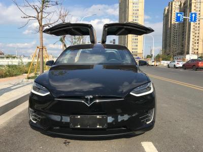2017年5月 特斯拉 Model X Model X P90D图片