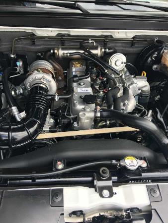 长城 风骏 5 2.8t 欧洲版四驱领航型大双排
