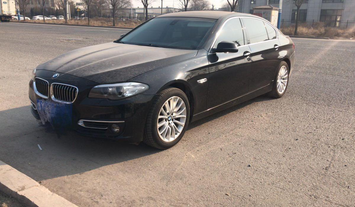 宝马 宝马5系 528li 2.0t xdrive 豪华设计套装图片