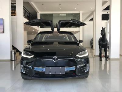 2017年10月 特斯拉 Model X Model X 75D图片