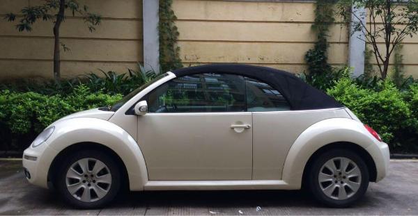 甲壳虫大众图片