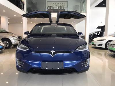 2018年10月 特斯拉 Model X Model X 75D图片